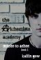 [The Alchemists Academy 01] • Stones to Ashes